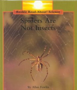 Spiders Are Not Insects Cultivate Wonder